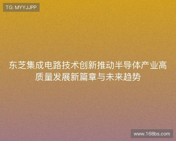 东芝集成电路技术创新推动半导体产业高质量发展新篇章与未来趋势